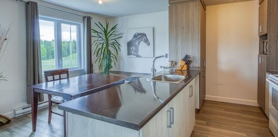Logement 4 1/2 a louer a St-Pierre Baptiste - Photo 2