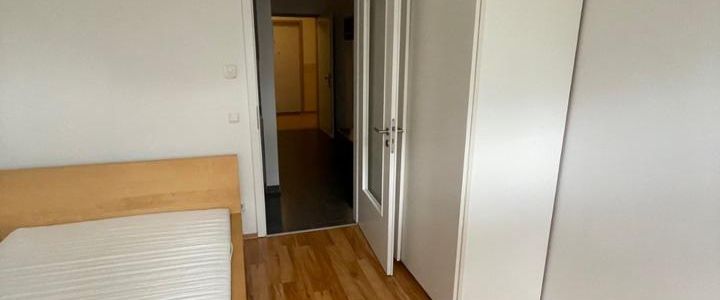 Möblierte 1-Raum Wohnung in Dresden-Plauen - Photo 1