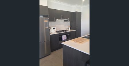 HIGH, WIDE & HANDSOME - Photo 5