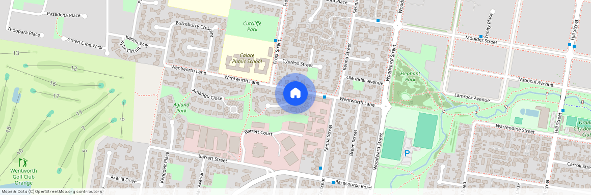 20 Pitta Pitta Place, NSW 2800, Orange