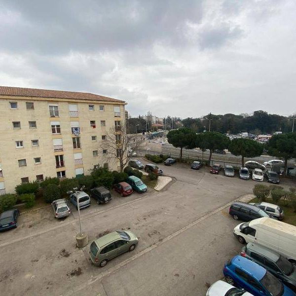 Location appartement 1 pièce 17.84 m² à Montpellier (34000) - Photo 1