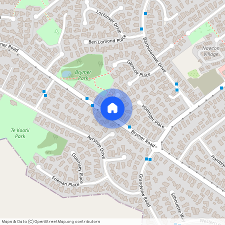 22 Brymer Road, Hamilton