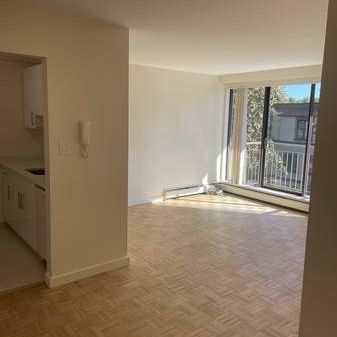 Newly Renovated Large One Bedroom (Vancouver) WITH PROMOTION!!! - Photo 3