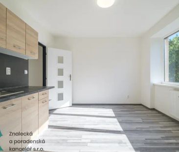 Pronájem bytu 1+1, Střekov, Ústí nad Labem - Photo 4