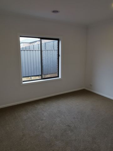 Love Where You Live - Photo 2