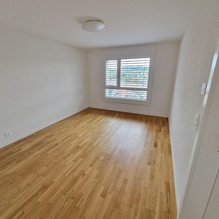 Appartement de 5.5 pièces au Rez de chaussée - 115m2 environ - Foto 4