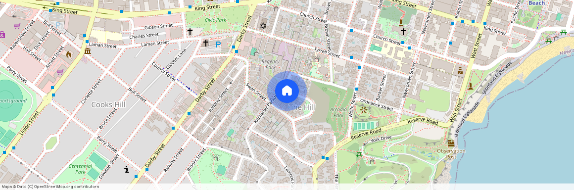 1/4 Mosbri Crescent, NSW 2300, The Hill