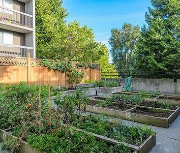 Underground Parking, Community Garden, Social Room - Photo 3