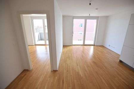 Liebenau – 58m² – 3 Zimmer – Balkon – WG-fähig - Foto 5