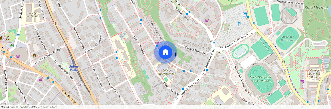 1004, Lausanne, Chemin de Pierrefleur, 22