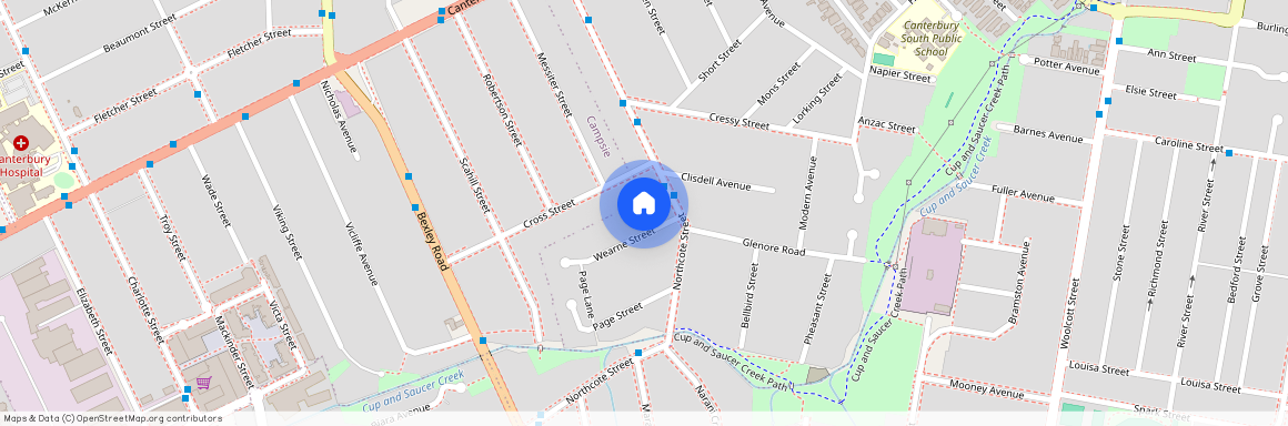 3 Wearne Street, NSW 2193, Canterbury