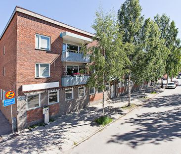 Kungsgatan 43 A, Umeå - Photo 4