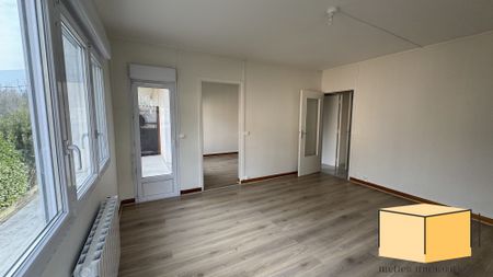 Location Appartement 2 pièces 53m² SEYSSEL 01420 - Photo 2