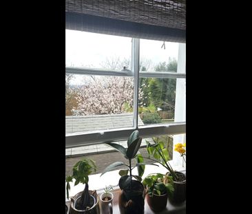 Studio Flat, Cintra Park, SE19 - Photo 4