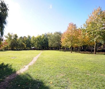 Booroondara Street, Reid ACT 2612 - 1 bed house for Rent, $465 per ... - Photo 5