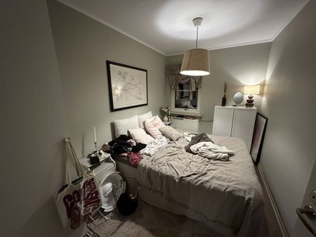 Nygatan, Trädet - Foto 2