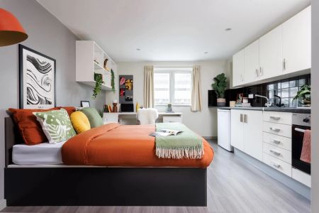 Extra Large High Double Studio - Photo 4