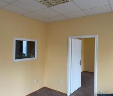 Große Wohnung mit eigenem Eingang und Terrasse mit Garten - Photo 1