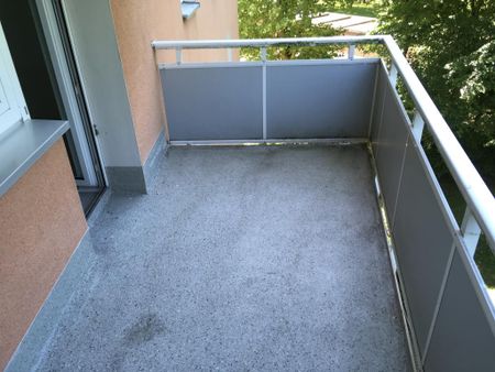 Demnächst frei! 2-Zimmer-Wohnung in Gelsenkirchen Hassel - Foto 5