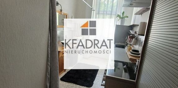 ZACHODNIOPOMORSKIE, ŚRÓDMIEŚCIE, Szczecin - Zdjęcie 2
