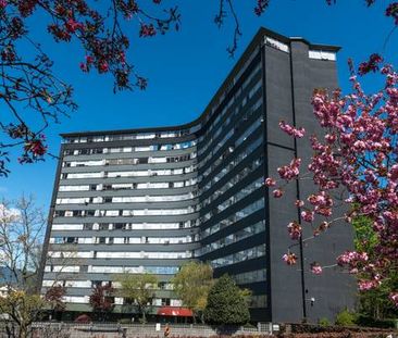 1 Bed, 1 Bath Apartment in Kitsilano - Photo 2