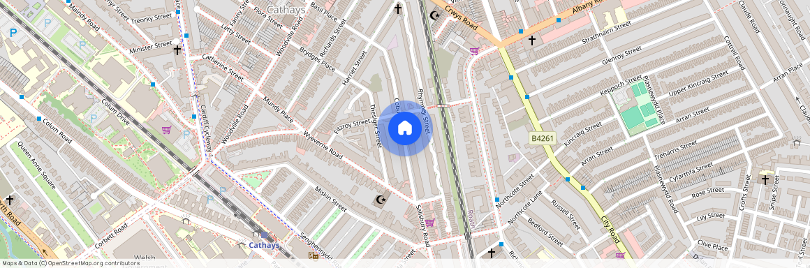 Coburn Street, CF24 4BS, Cathays