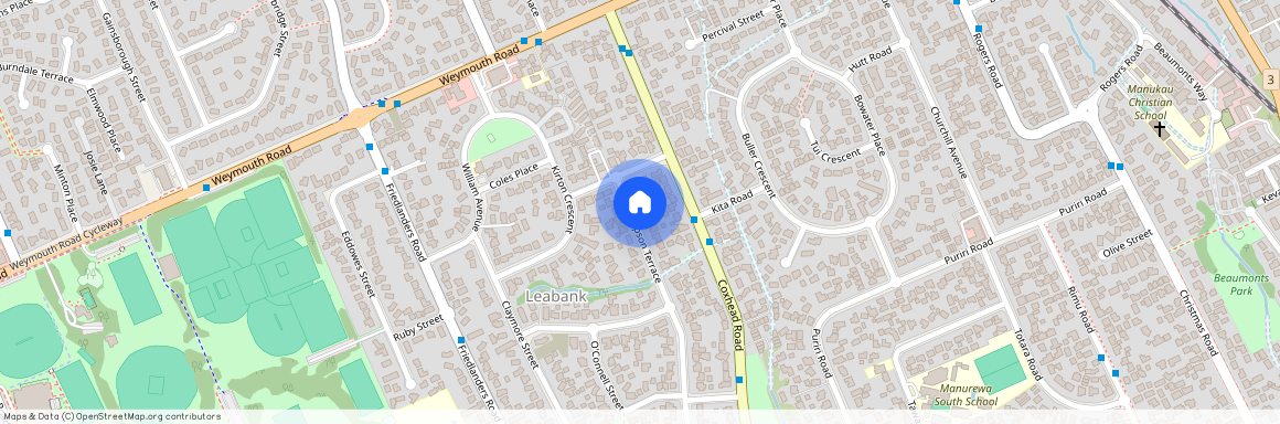 8 Thompson Terrace, Manurewa, Manukau City