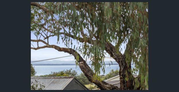 3 Bedroom Home in a Great Location - Photo 1