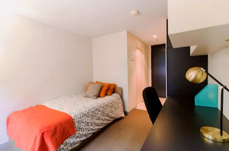 Standard Studio - Photo 3