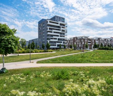 3-Zimmer-Erdgeschosswohnung mit Terrasse und TG-Stellplatz - Photo 5