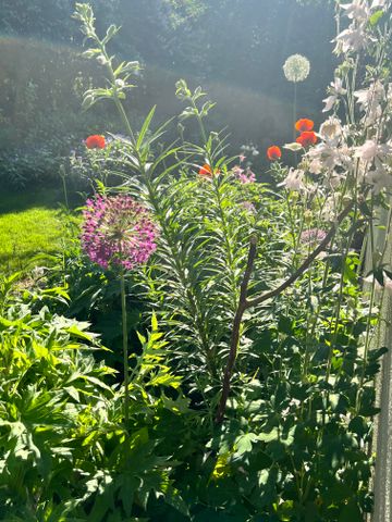 Vesslevägen, Bromma - Photo 5