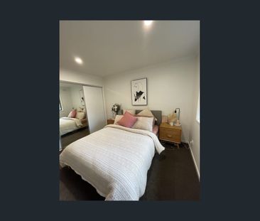 Light Filled & Spacious in a small quiet block - Photo 4