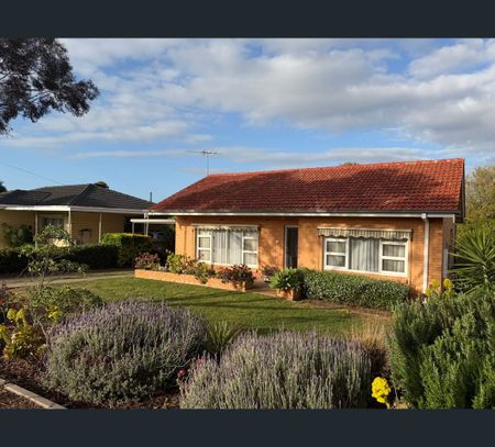24 Leslie Street, Murray Bridge, SA 5253 - Photo 4
