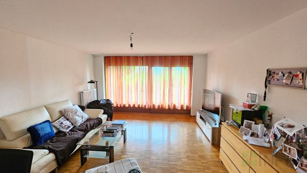 Wohnung - Foto 1