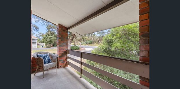 6 / 43 Olinda Grove - Photo 1