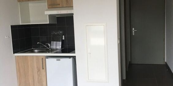 Location Appartement 1 pièce 20m² PAU 64000 - Photo 3