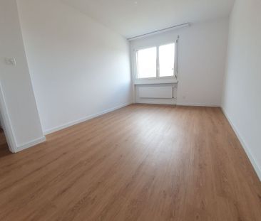 Frisch sanierte grosszügige Wohnung im Herzen von Neuhausen - Photo 5