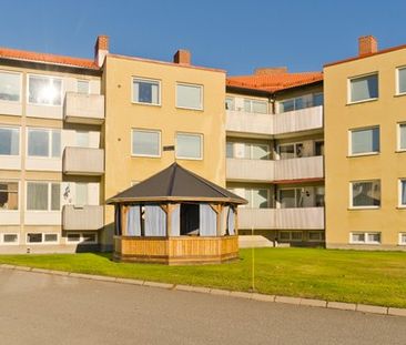 Bogatan, Skelleftehamn - Foto 3