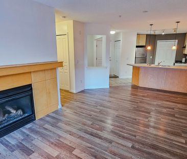 1 Br + Den Beautiful Condo For Rent In Lincoln Park: Heat & Water I... - Photo 2