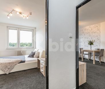 Vybavený byt 2kk, 43,5 m - Fotografie 3