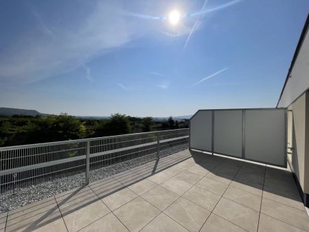 Danube Hills Perfekte Singlewohnung mit großer Terrasse - Photo 5