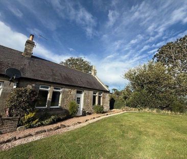 2 bedroom semi-detached house to rent - Photo 2