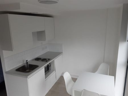 Studio Apartment - Studio To Rent - Photo 5