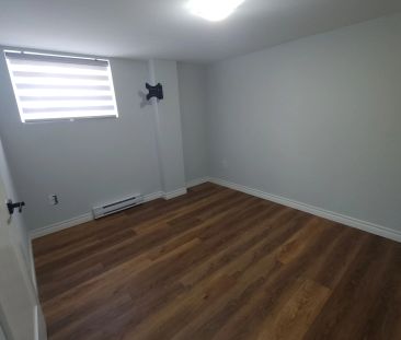 185 Saint George Street #1 Basement - Photo 3