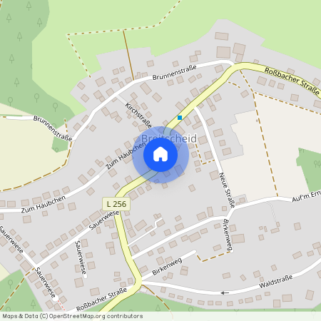 53547 Rheinland-Pfalz - Roßbach (Wied)