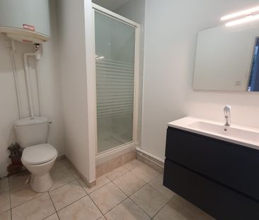 Location Appartement 1 pièce 25m² CONDRIEU 69420 - Photo 3