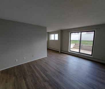 Dog Friendly Apartment! - Photo 1