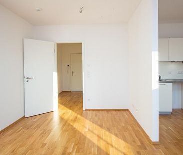 Wohnen in der Südvorstadt - EBK, Tiefgarage, elektr. Rollläden, Fuß... - Photo 1