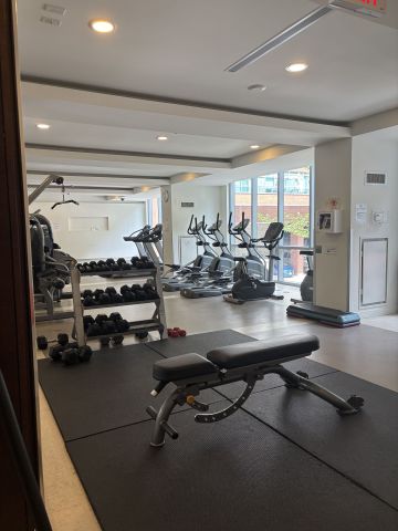 For Lease - 112 George Street Unit# S217, Toronto, Ontario - Photo 5