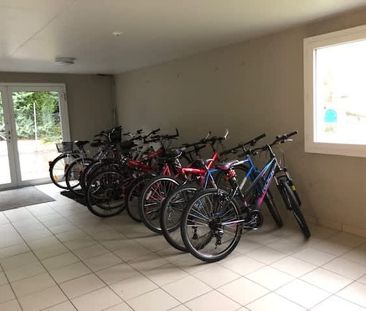 2.5 Zimmer, 41 m², 1. Stock - Photo 6